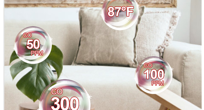 gas and carbon monoxide detector