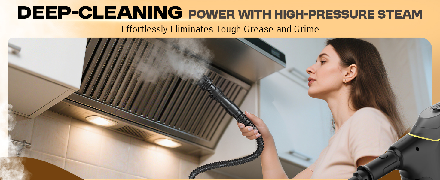 Heavy Duty Steam Cleaner