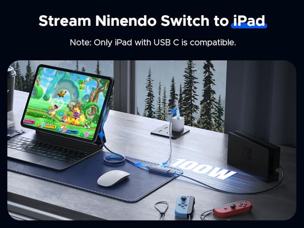 capture card for streaming ps4 ps5 switch to ipad and only ipad with usb-c is compatible