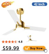 ceiling fan