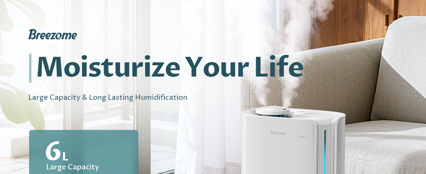 Humidifiers for Large Room