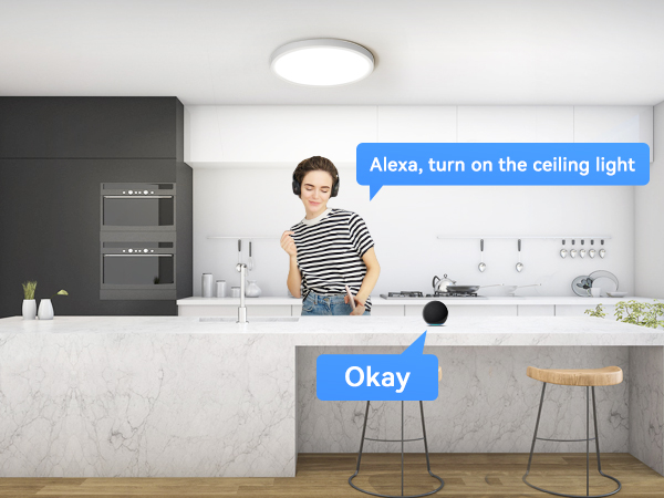 flush mount ceiling light