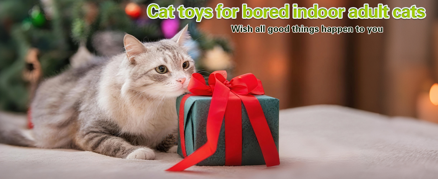 cat gift toy