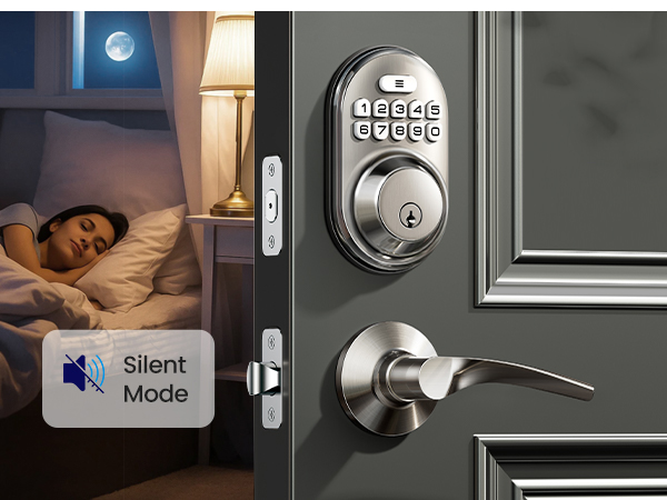 keyless entry door lock