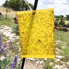 Gnat trap Yellow sticky trap