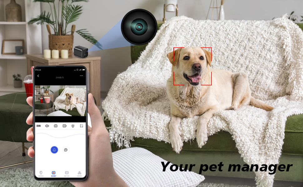 hidden camera with audio/video