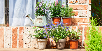 garden tools