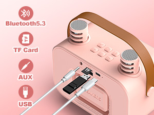 portable karaoke machine with 2 wireless microphones