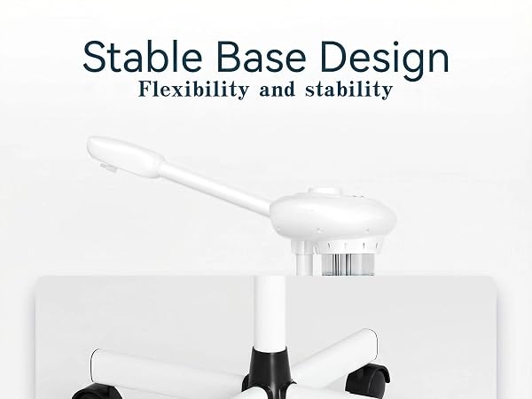 steamer for face