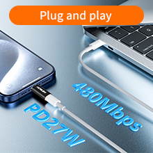lightning to type c adapter
