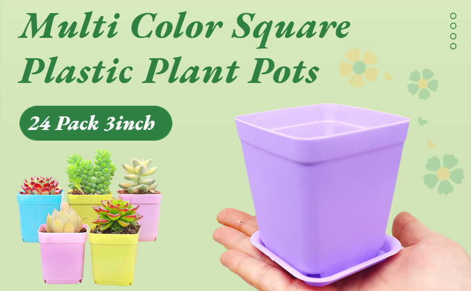 2 Seedling Nursery Transplanting Planter Container
