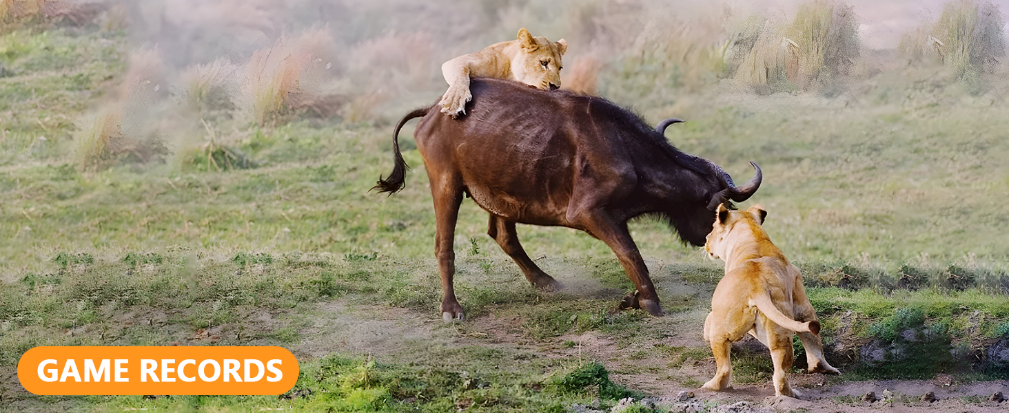 Trail Camera WiFi 60 MP 1296P