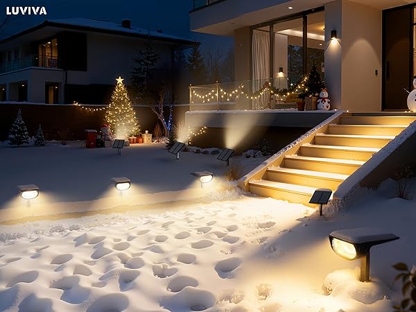 Lighting &amp; Ceiling Fans