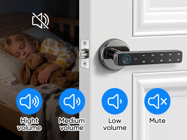 Smart Door Lock with Knob