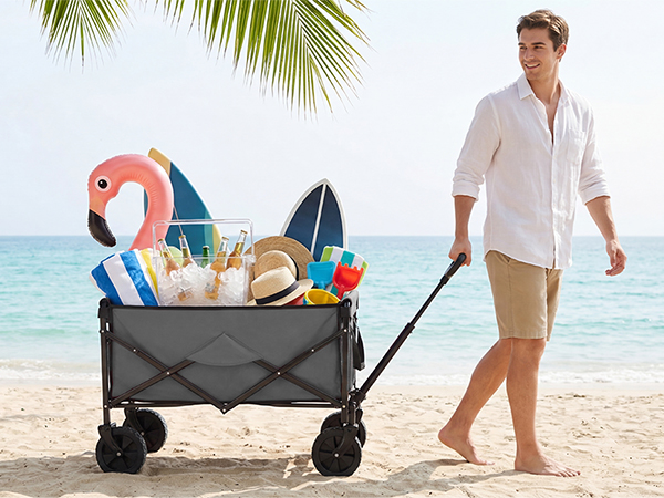 Heavy Duty Beach Wagon on Beach