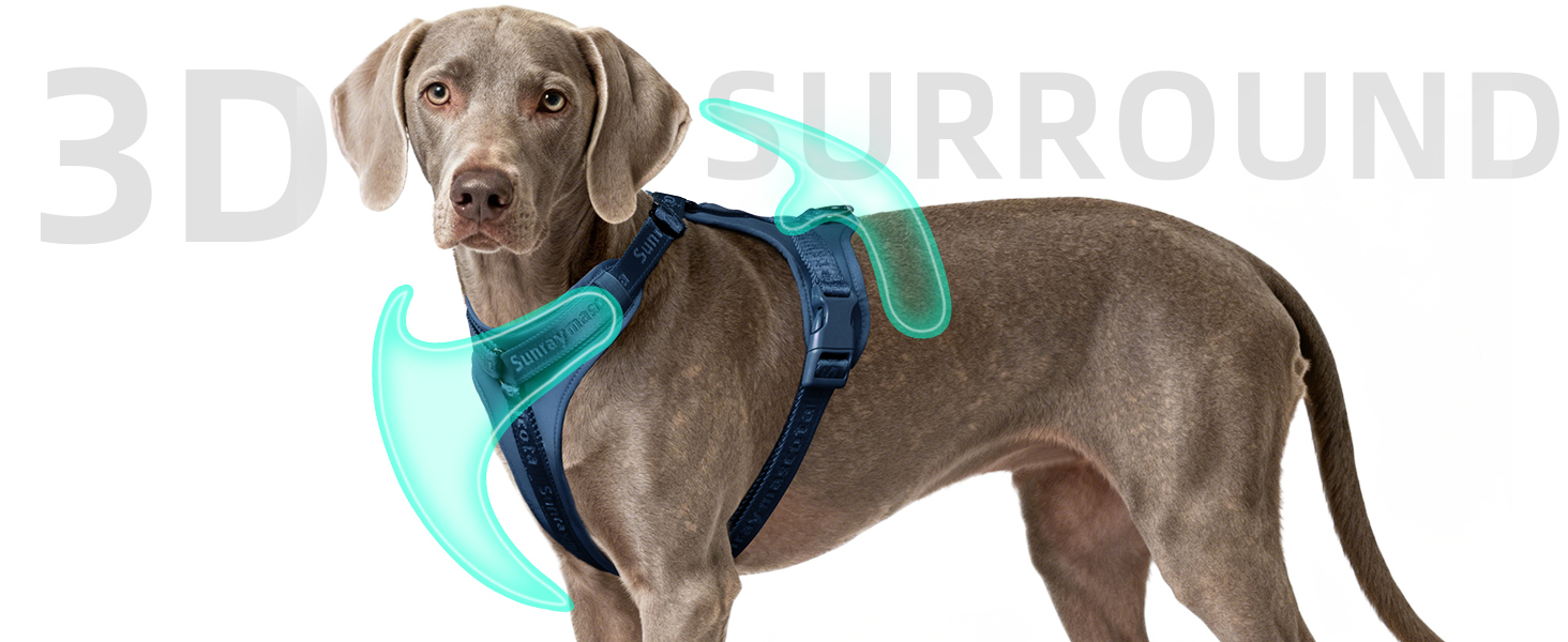 medium harness