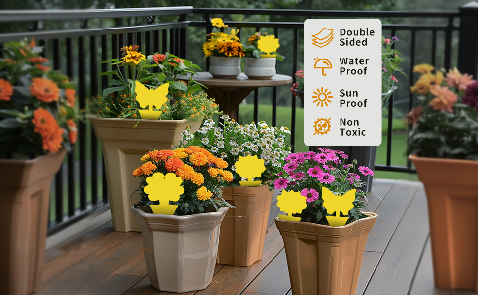 Beautify Plants and Pots