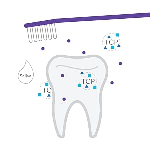 tooth with toothbrush and TCP with saliva