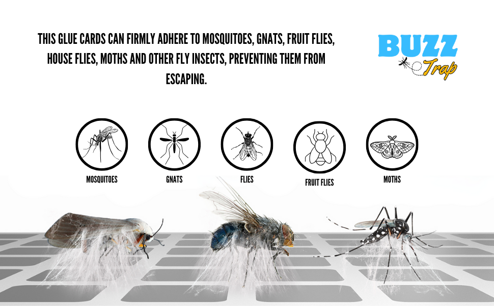 It efficiently captures a variety of insects, including fruit flies, bugs, and gnats