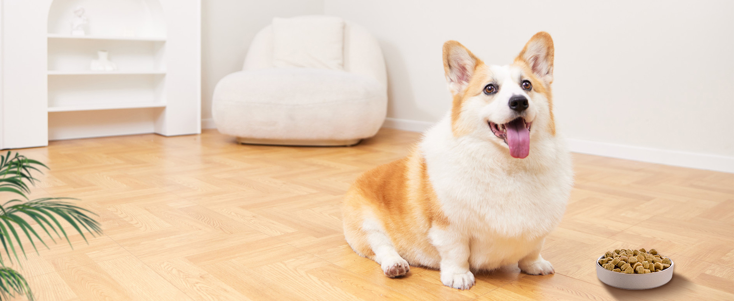 large food scales for kitchen