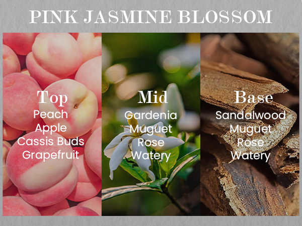 jasmine-m