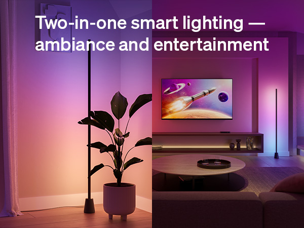 Two-in-one smart lighting