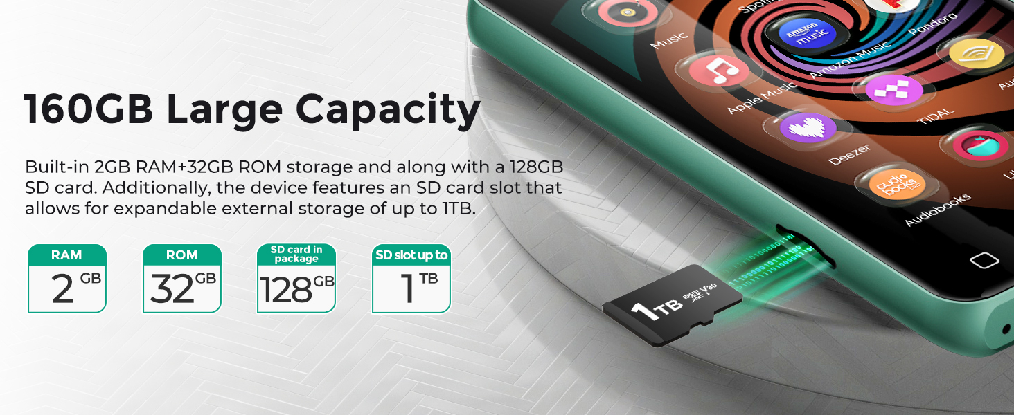 mp3 player with pandora