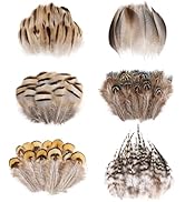 Daieeparty 180pcs Natural Pheasant Feathers 6 Style Mixed Small Feathers for DIY Craft Wedding Dr...