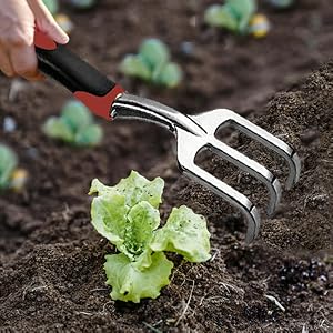 Hand Rake