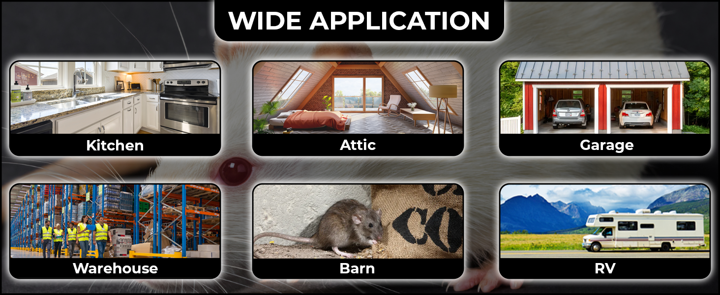 mouse traps indoor for home