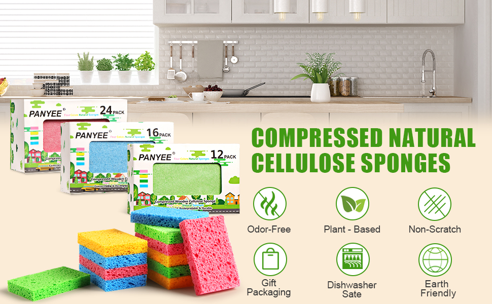 PANYEE PROFEESIONAL HOUSEHOLD SPONGE