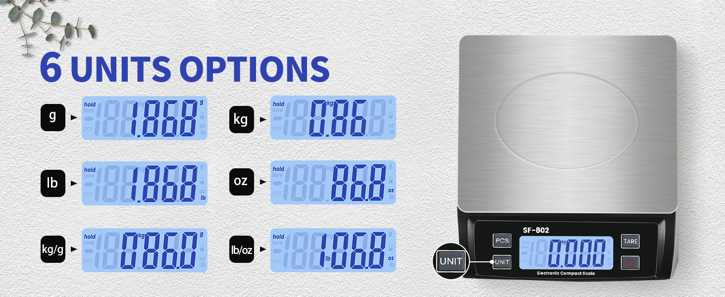 High capacity kitchen scale