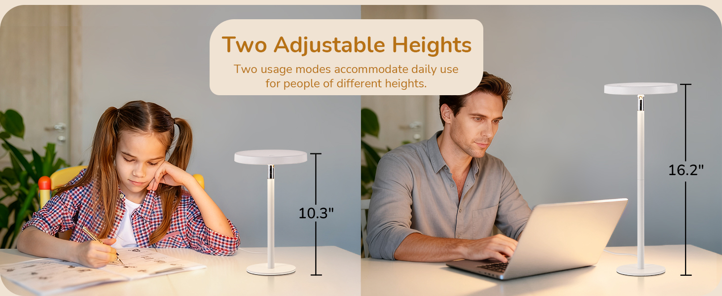 Two Adjustable Heights