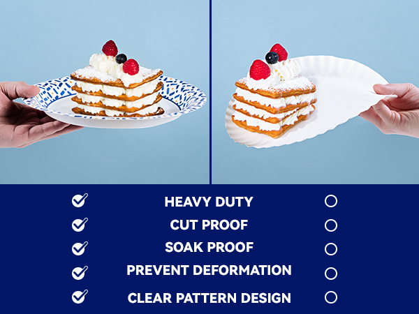 10 inch paper plates