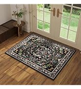 Entryway Rug 2x3 Rug Door Mat Indoor Entrance Washable Rug Small Non-Slip Low Pile Throw Rugs for...