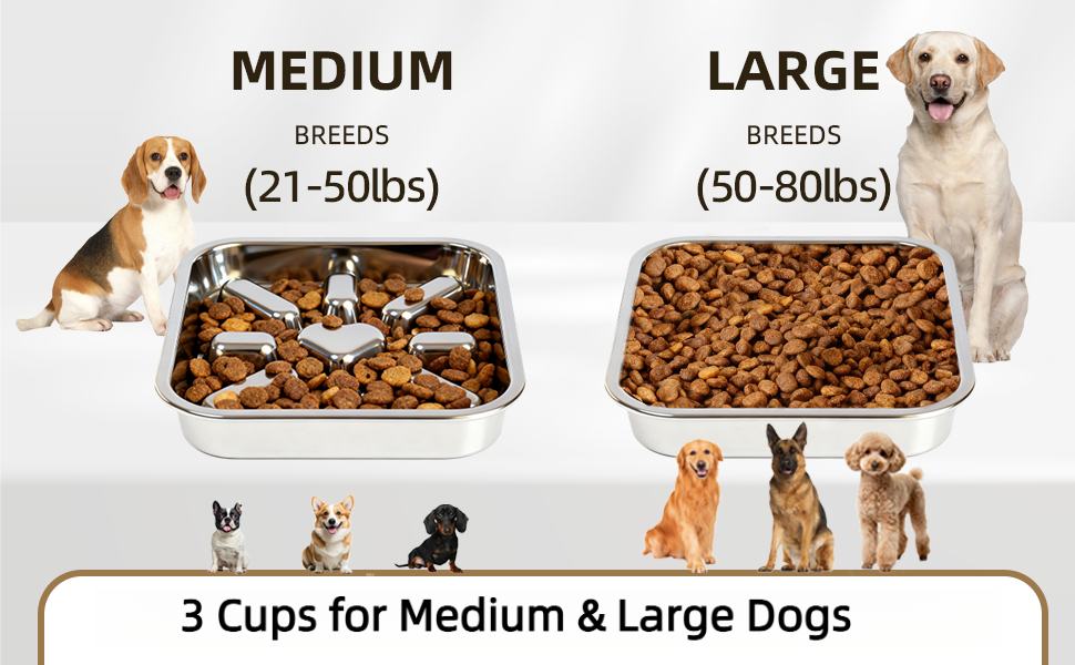 eat slow feeder dog