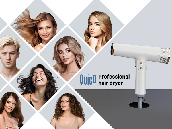  Professional High Speed Ionic Blow Dryer 