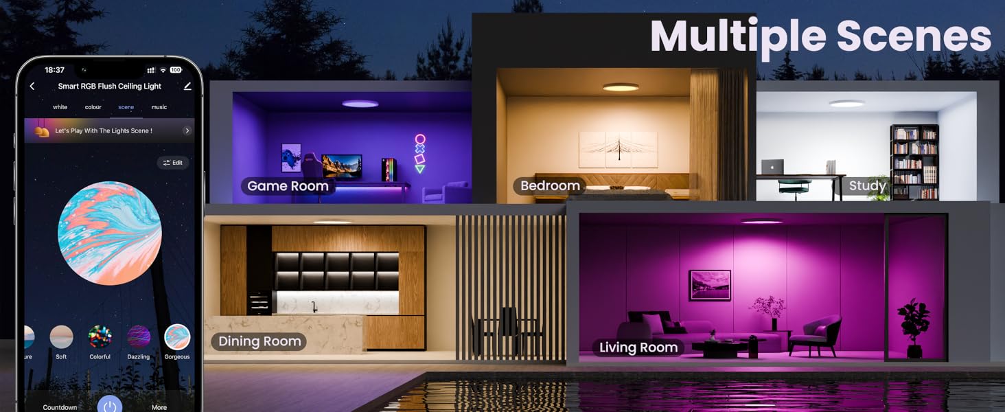 Smart Ceiling Light