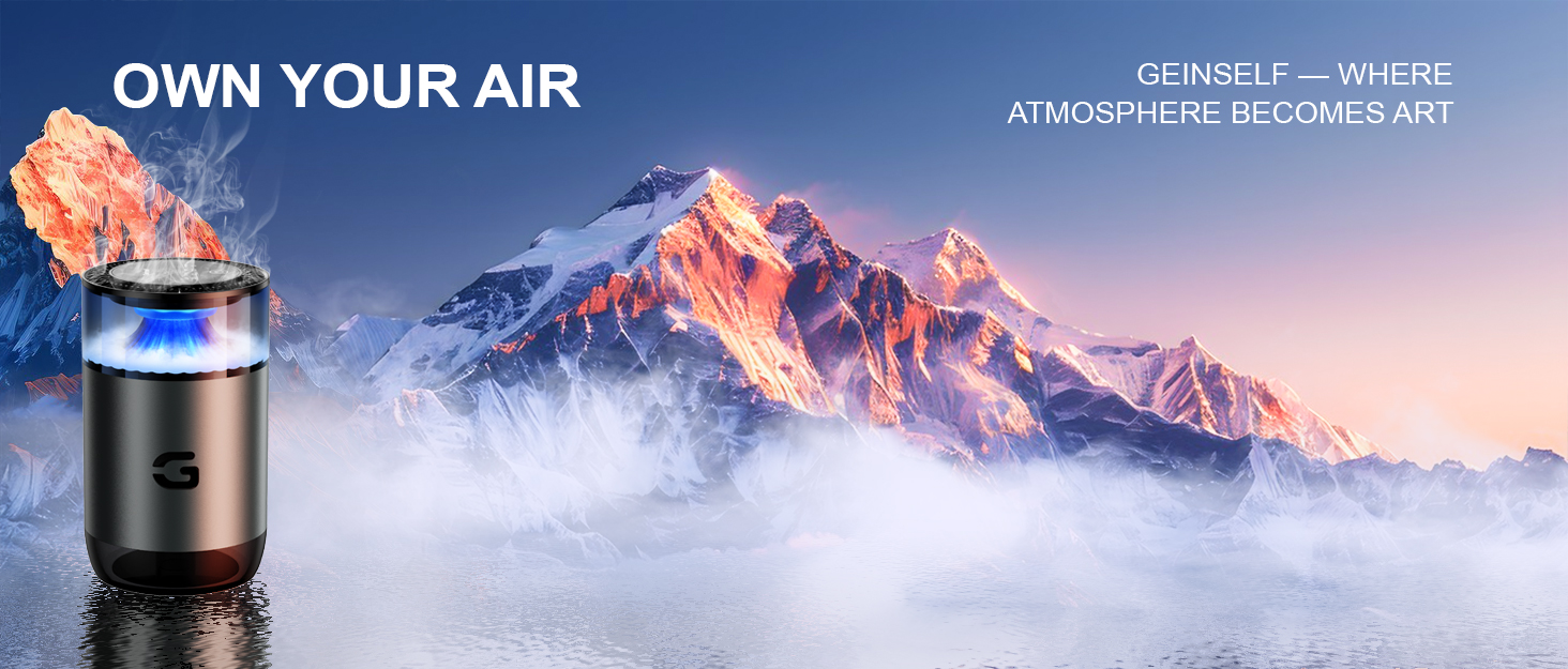 Car diffuser air freshener