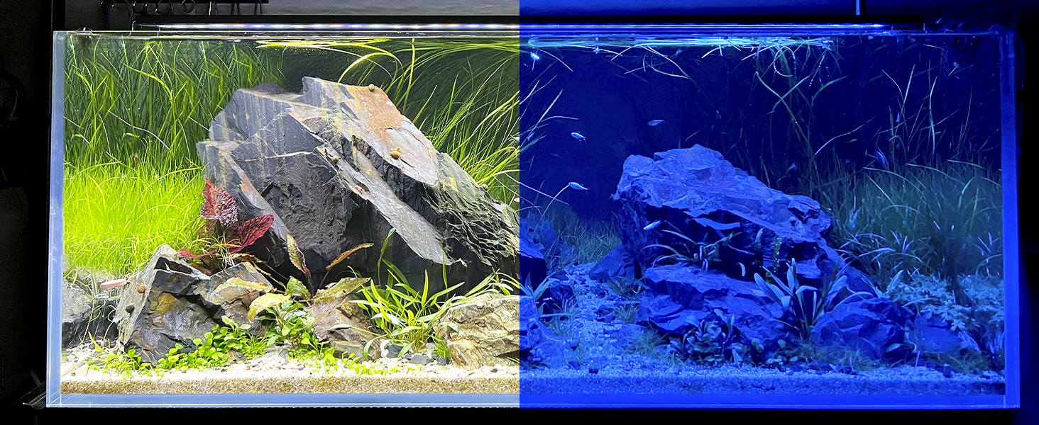 led aquarium light