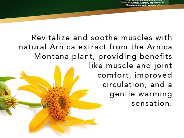 arnica extract soothing muscles massage oil warming oil