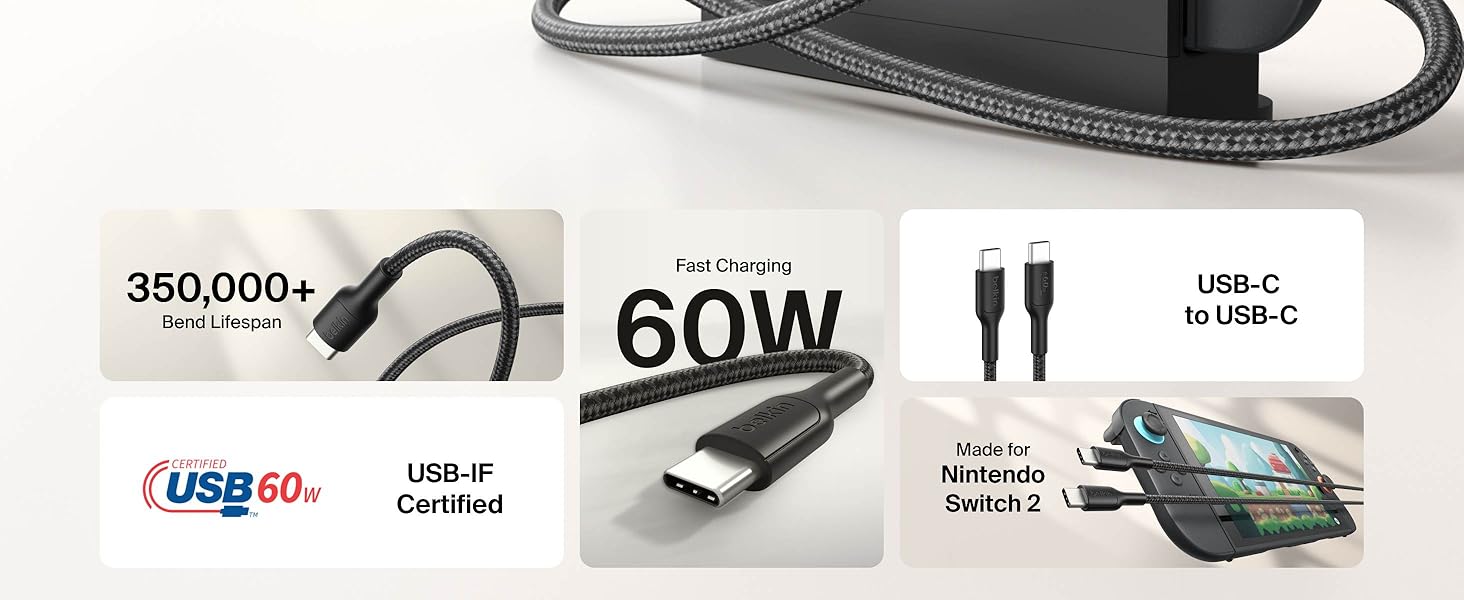 Nintendo Switch Charging Cable