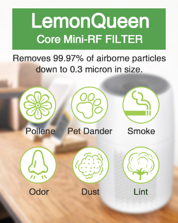 Mini-RF filter