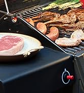 Feasto - Outdoor Gas Grill