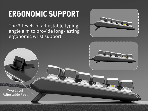 Ergonomic Support