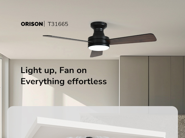 ceiling fan