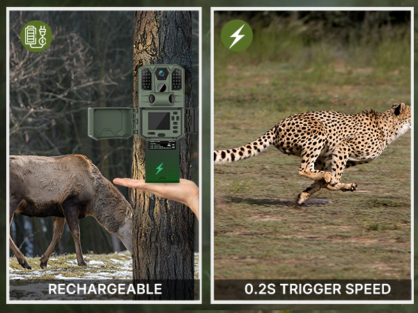 mini trail camera deer camera