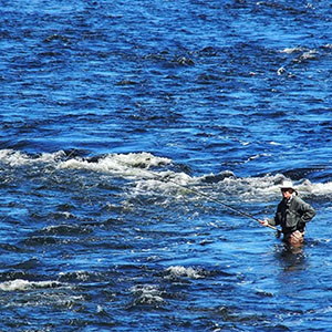 flying fishing