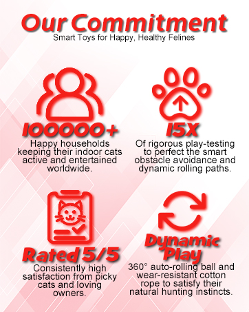 smart cat ball toy