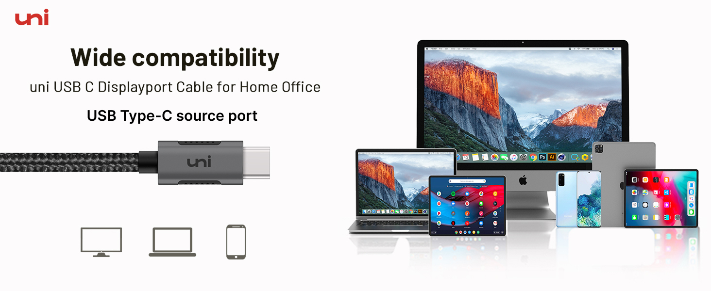 USB C to DisplayPort Cable